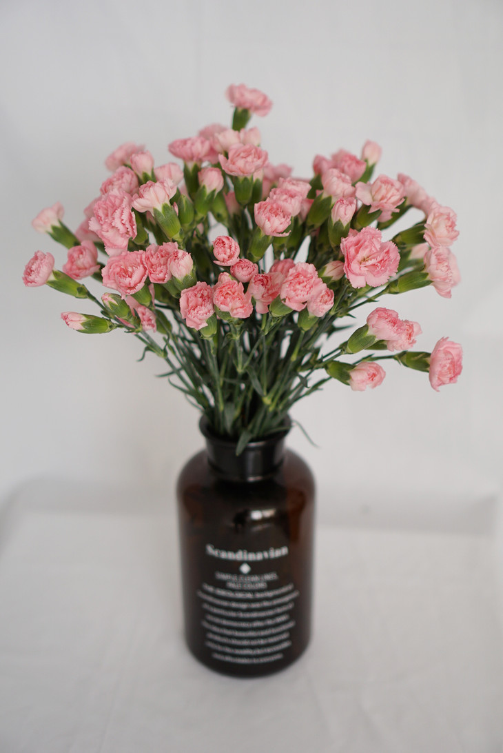 三亿体育手机版-直击CJ：“峰峰三号”惨遭美女包围，“呆妹儿小霸王”“吃鸡”喜笑颜开