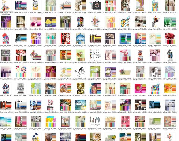 三亿体育手机版