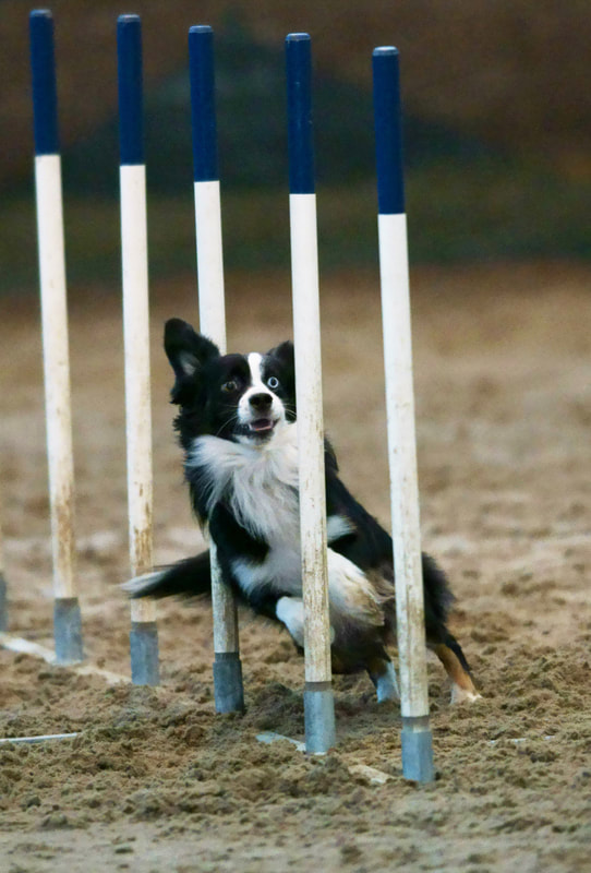 和平精英征服日本！10天下载量突破300万！【三亿体育官网】