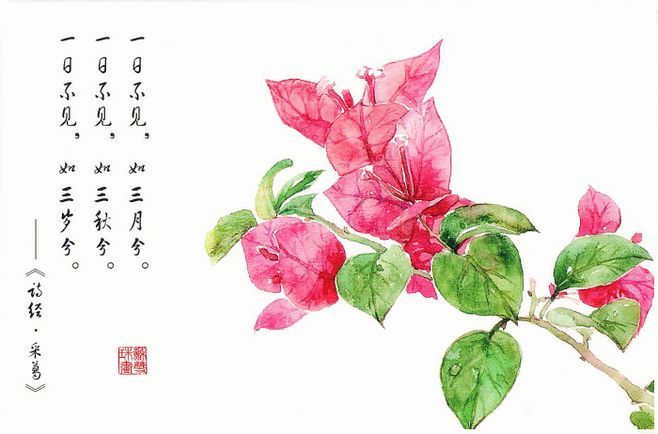 三亿体育手机版