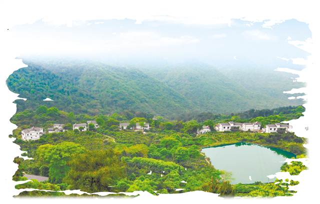 李嘉欣怀孕4个月大肚照曝光 秘道入院验胎:三亿体育手机版