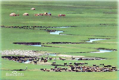 ‘三亿体育’张柏芝回应独过母亲节：他们开心我就开心