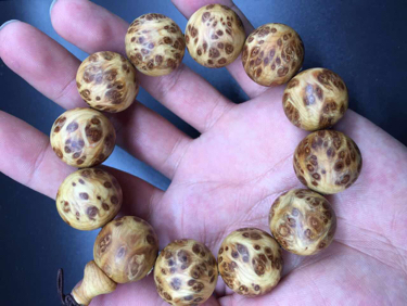 ‘三亿体育’圣诞版本将至《超级地城之光》装备养成必杀技