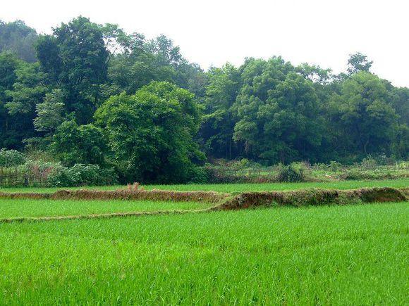 雅高酒店、万达院线隆重签约新田城“三亿体育手机版”(图3) 三亿体育