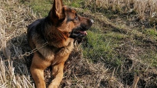 三亿体育:大型连锁酒店联手抵制OTA返现(图2) 三亿体育