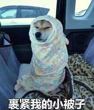 黄瓜拌面的做法：三亿体育