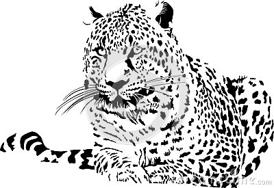 三亿体育手机版