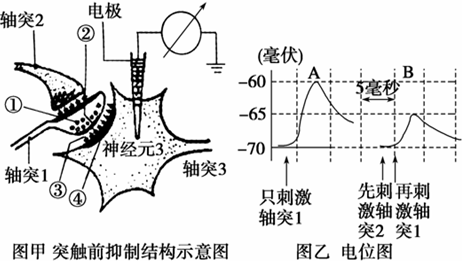 三亿体育手机版