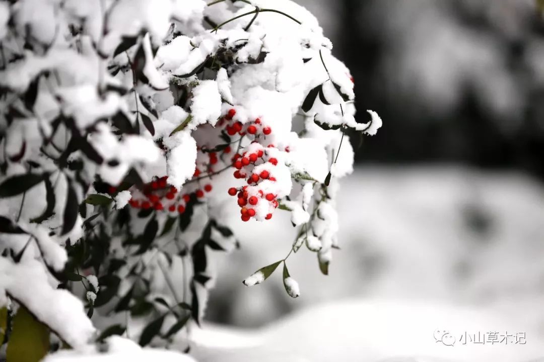 三亿体育手机版