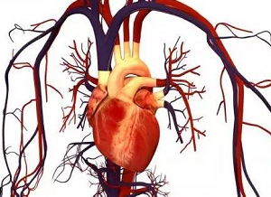澳门酒店业又添生力军 E世博精彩娱乐尽在新濠天地‘三亿体育官网’(图2) 三亿体育手机版