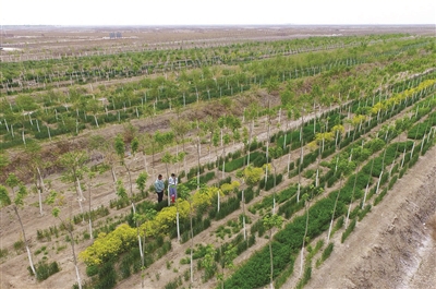 崩坏3亚太锦标赛 总决赛投票应援活动开启‘三亿体育’